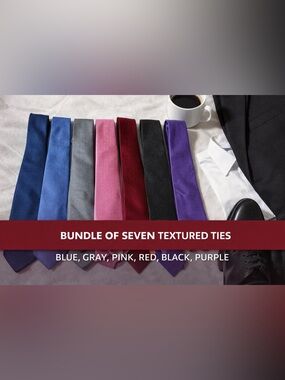 Men’s Tie Bundle Lot of 7 Textured Silk/Poly Ties